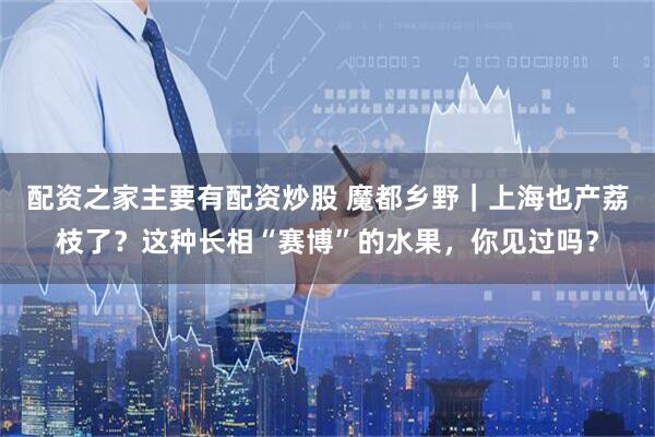 配资之家主要有配资炒股 魔都乡野｜上海也产荔枝了？这种长相“赛博”的水果，你见过吗？